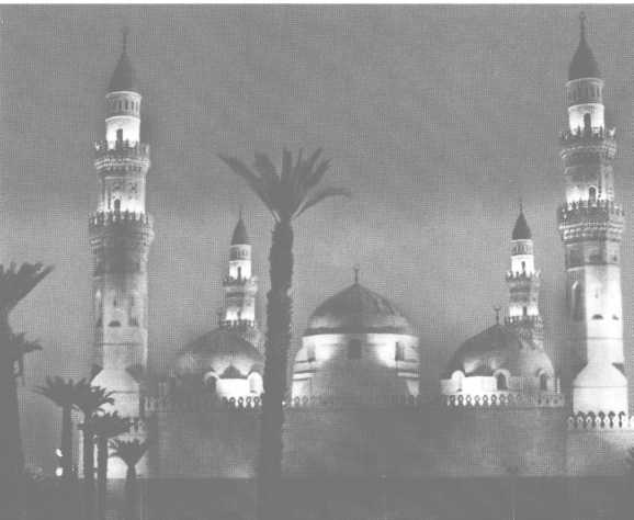 Иллюстрация к книге — Повседневная жизнь паломников в Мекке [i_027.jpg]