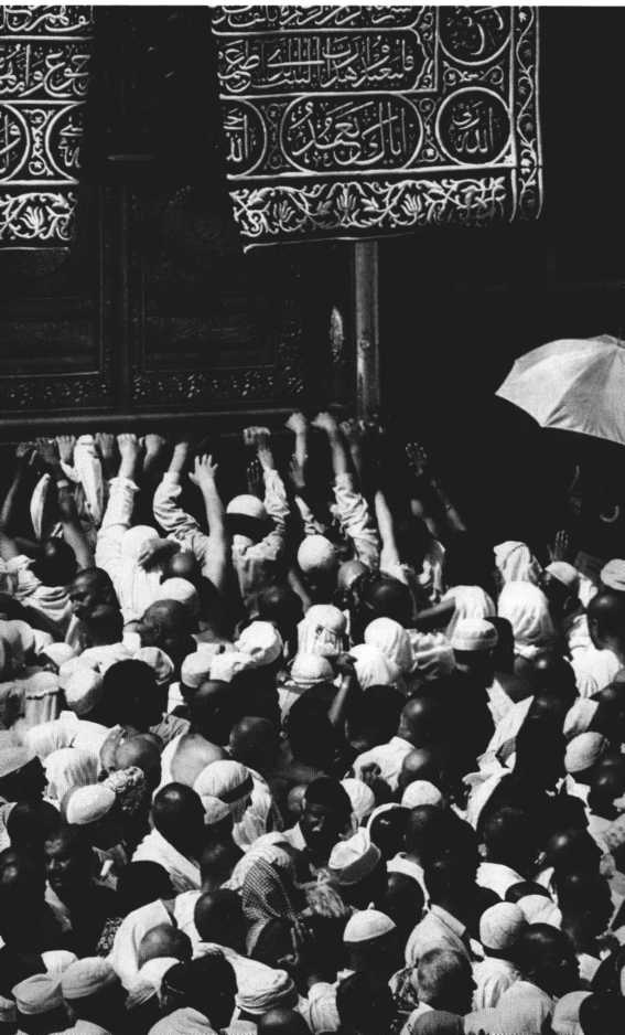 Иллюстрация к книге — Повседневная жизнь паломников в Мекке [i_029.jpg]