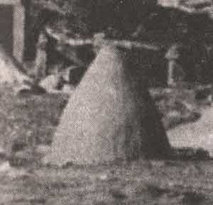 Иллюстрация к книге — Тайные знания догонов об истоках человечества [i_015.jpg]