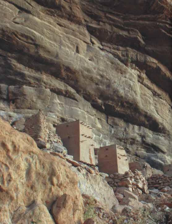 Иллюстрация к книге — Тайные знания догонов об истоках человечества [i_054.jpg]