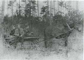 Иллюстрация к книге — Лесные солдаты. Партизанская война на Северо-Западе СССР. 1941-1944 [i_006.jpg]