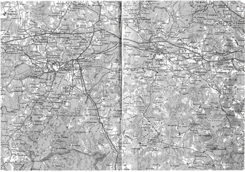 Иллюстрация к книге — Лесные солдаты. Партизанская война на Северо-Западе СССР. 1941-1944 [i_012.jpg]