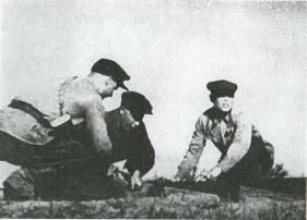 Иллюстрация к книге — Лесные солдаты. Партизанская война на Северо-Западе СССР. 1941-1944 [i_028.jpg]