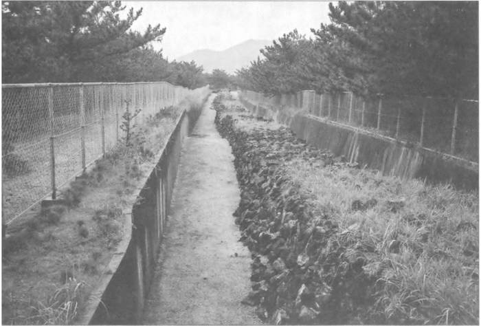 Иллюстрация к книге — Камикадзе. "Божественный ветер" в истории Японии [i_045.jpg]