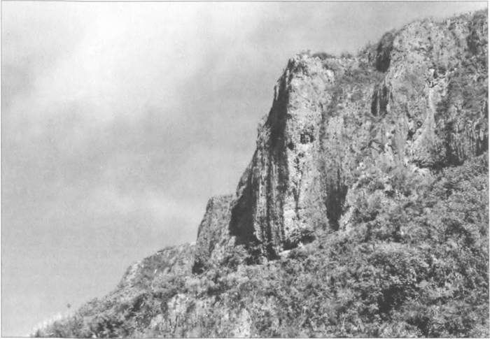 Иллюстрация к книге — Камикадзе. "Божественный ветер" в истории Японии [i_127.jpg]