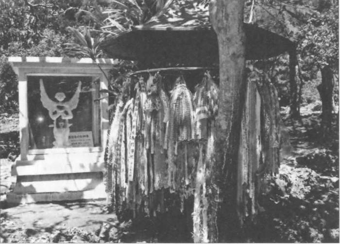 Иллюстрация к книге — Камикадзе. "Божественный ветер" в истории Японии [i_236.jpg]