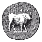 Иллюстрация к книге — Здесь был Рим. Современные прогулки по древнему городу [i_003.jpg]