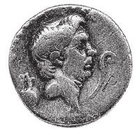 Иллюстрация к книге — Здесь был Рим. Современные прогулки по древнему городу [i_211.jpg]