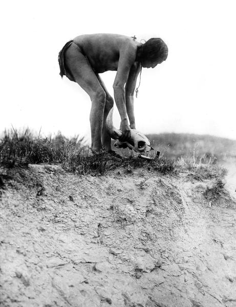 Иллюстрация к книге — Сила шаманов. Боевая и лечебная магия индейцев Дикого Запада [i_029.jpg]