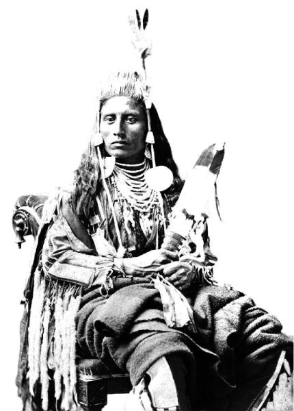 Иллюстрация к книге — Сила шаманов. Боевая и лечебная магия индейцев Дикого Запада [i_045.jpg]