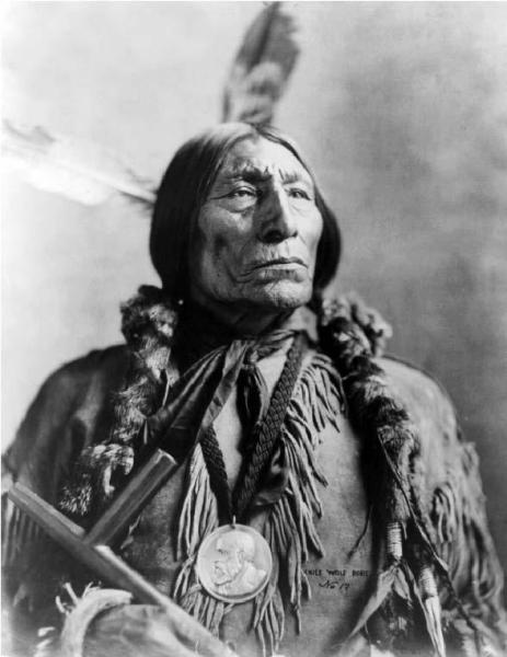 Иллюстрация к книге — Сила шаманов. Боевая и лечебная магия индейцев Дикого Запада [i_074.jpg]