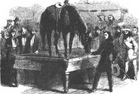 Иллюстрация к книге — По закону револьвера. Дикий Запад и его герои [i_026.jpg]