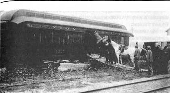 Иллюстрация к книге — По закону револьвера. Дикий Запад и его герои [i_092.jpg]