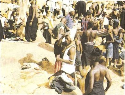 Иллюстрация к книге — Мистерия Сириуса [i_018.jpg]