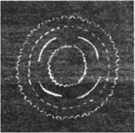 Иллюстрация к книге — Мистерия Сириуса [i_074.jpg]