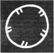 Иллюстрация к книге — Мистерия Сириуса [i_077.jpg]