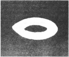 Иллюстрация к книге — Мистерия Сириуса [i_080.jpg]