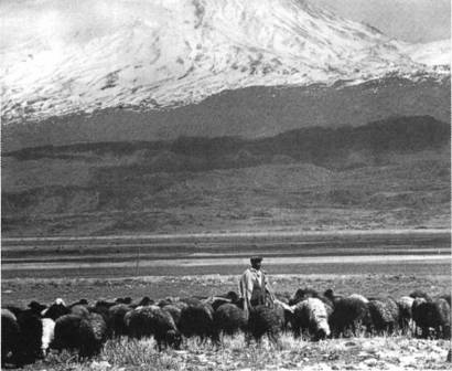 Иллюстрация к книге — Мистерия Сириуса [i_105.jpg]