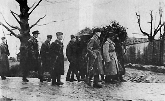 Иллюстрация к книге — Неизвестные солдаты. Сражения на внешнем фронте блокады Ленинграда [i_011.jpg]