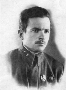 Иллюстрация к книге — Неизвестные солдаты. Сражения на внешнем фронте блокады Ленинграда [i_033.jpg]