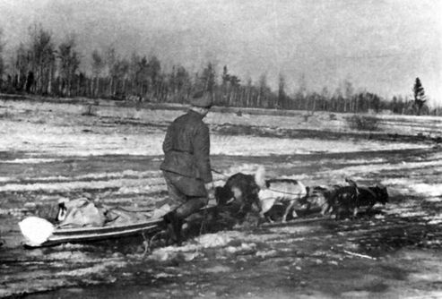 Иллюстрация к книге — Неизвестные солдаты. Сражения на внешнем фронте блокады Ленинграда [i_059.jpg]