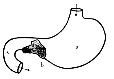 Иллюстрация к книге — Век хирургов [_30.jpg]