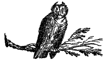 Иллюстрация к книге — Неизбирательное сродство [i_027.jpg]