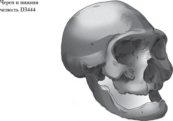 Иллюстрация к книге — Байки из грота. 50 историй из жизни древних людей [i_012.jpg]