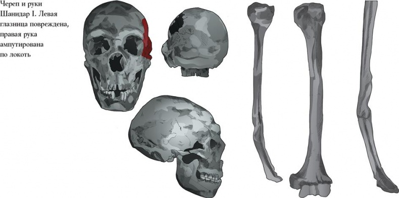 Иллюстрация к книге — Байки из грота. 50 историй из жизни древних людей [i_013.jpg]