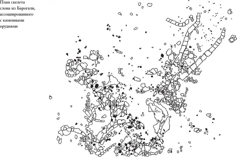 Иллюстрация к книге — Байки из грота. 50 историй из жизни древних людей [i_017.jpg]