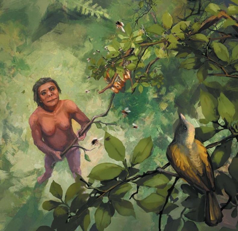 Иллюстрация к книге — Байки из грота. 50 историй из жизни древних людей [i_018.jpg]