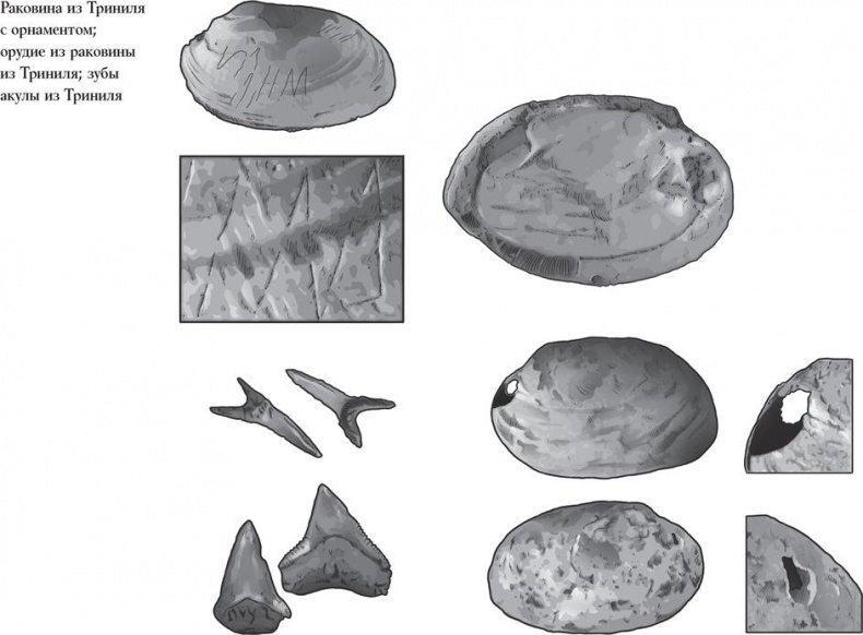 Иллюстрация к книге — Байки из грота. 50 историй из жизни древних людей [i_026.jpg]