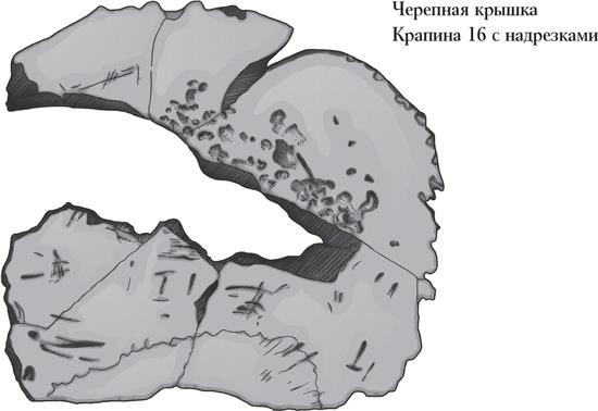 Иллюстрация к книге — Байки из грота. 50 историй из жизни древних людей [i_034.jpg]