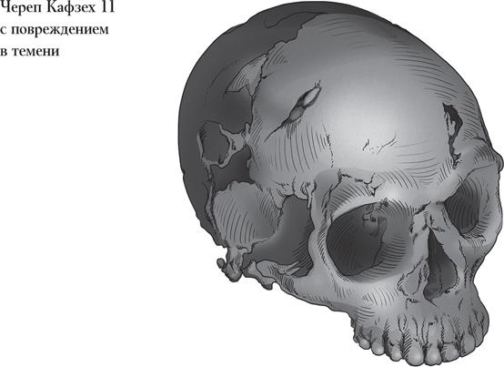 Иллюстрация к книге — Байки из грота. 50 историй из жизни древних людей [i_039.jpg]