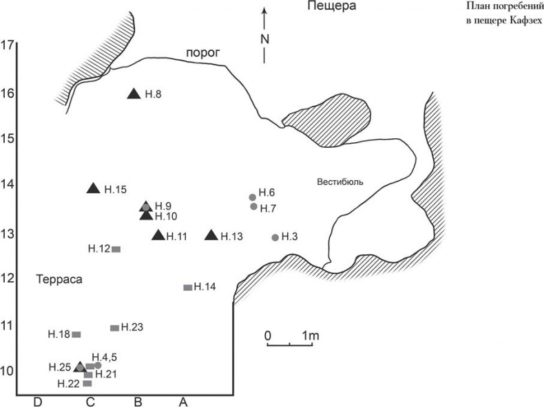 Иллюстрация к книге — Байки из грота. 50 историй из жизни древних людей [i_040.jpg]