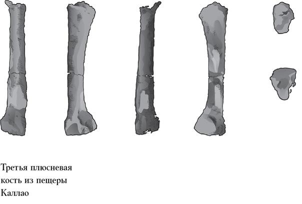 Иллюстрация к книге — Байки из грота. 50 историй из жизни древних людей [i_048.jpg]