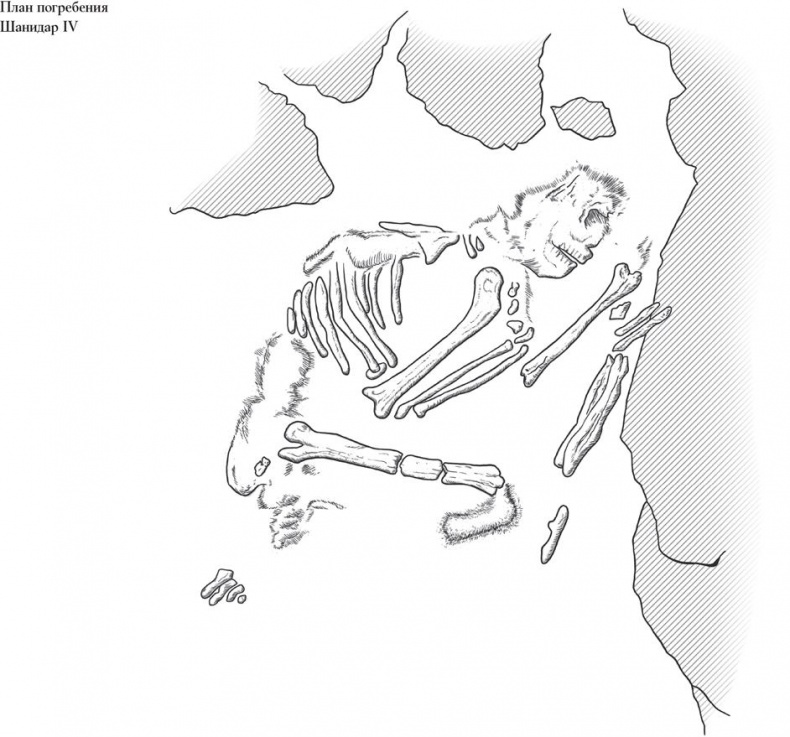 Иллюстрация к книге — Байки из грота. 50 историй из жизни древних людей [i_050.jpg]