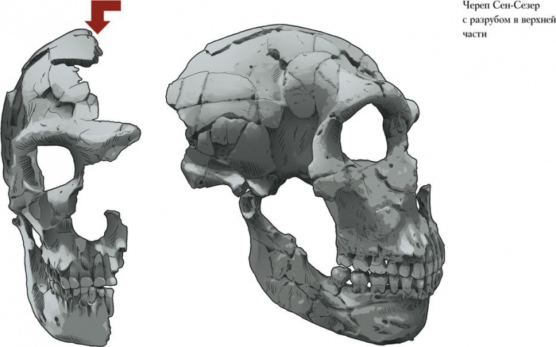Иллюстрация к книге — Байки из грота. 50 историй из жизни древних людей [i_065.jpg]