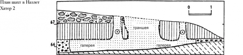 Иллюстрация к книге — Байки из грота. 50 историй из жизни древних людей [i_076.jpg]