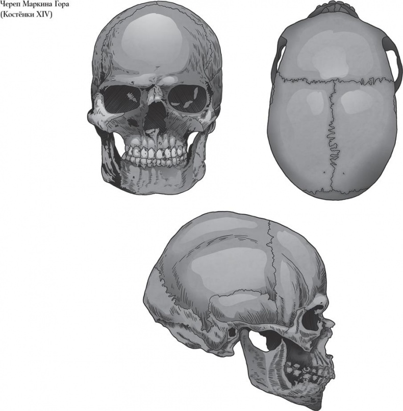 Иллюстрация к книге — Байки из грота. 50 историй из жизни древних людей [i_083.jpg]
