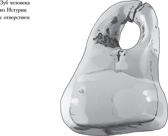 Иллюстрация к книге — Байки из грота. 50 историй из жизни древних людей [i_085.jpg]