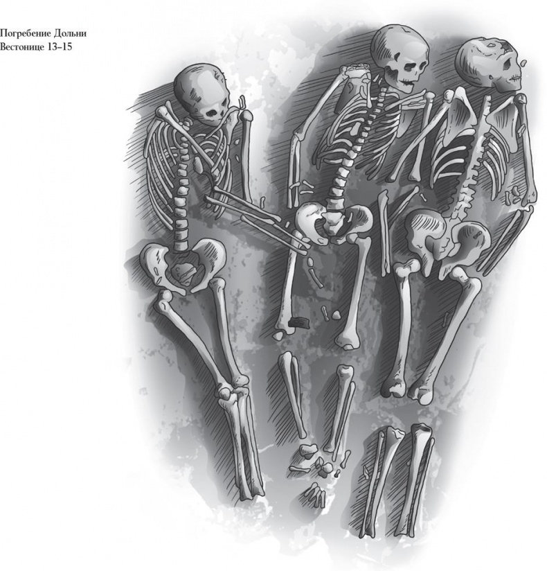 Иллюстрация к книге — Байки из грота. 50 историй из жизни древних людей [i_097.jpg]