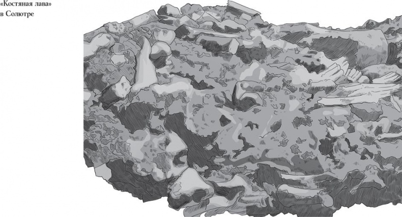 Иллюстрация к книге — Байки из грота. 50 историй из жизни древних людей [i_102.jpg]