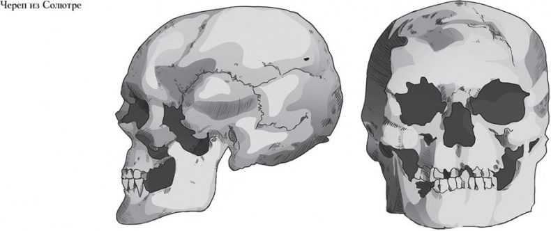 Иллюстрация к книге — Байки из грота. 50 историй из жизни древних людей [i_103.jpg]
