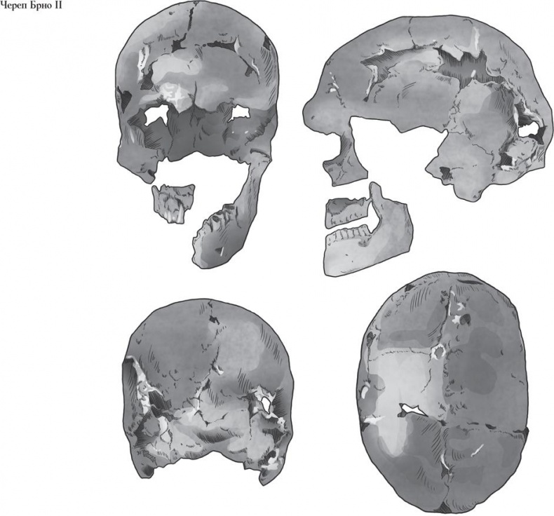 Иллюстрация к книге — Байки из грота. 50 историй из жизни древних людей [i_107.jpg]