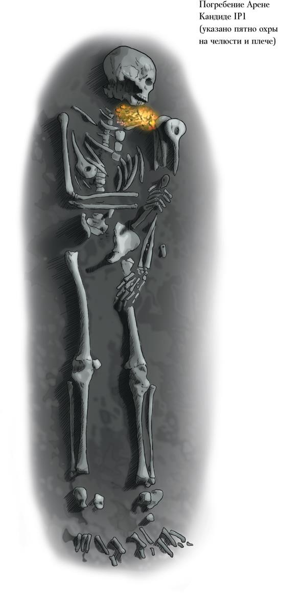 Иллюстрация к книге — Байки из грота. 50 историй из жизни древних людей [i_109.jpg]