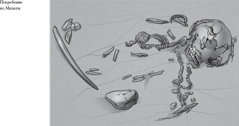 Иллюстрация к книге — Байки из грота. 50 историй из жизни древних людей [i_121.jpg]