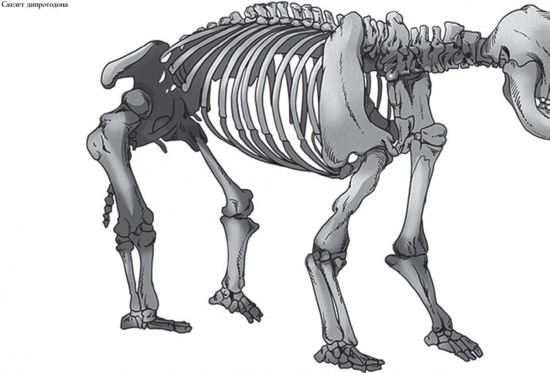 Иллюстрация к книге — Байки из грота. 50 историй из жизни древних людей [i_130.jpg]