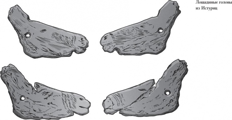 Иллюстрация к книге — Байки из грота. 50 историй из жизни древних людей [i_137.jpg]