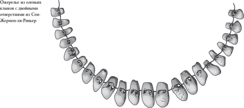 Иллюстрация к книге — Байки из грота. 50 историй из жизни древних людей [i_141.jpg]